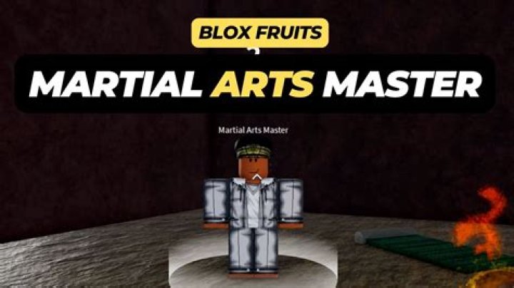 A Closer Look At The Martial Arts Master's Wealth
