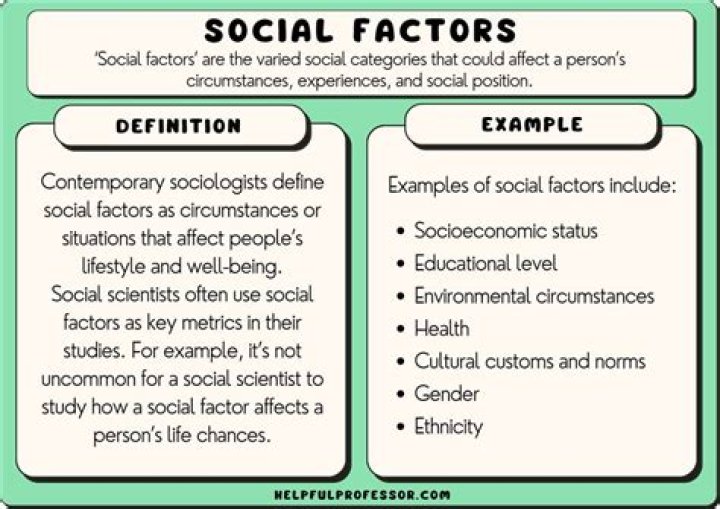 A Journey Into Creative Excellence And Social Impact