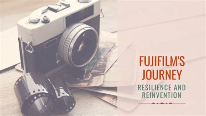 A Journey Of Resilience And Reinvention
