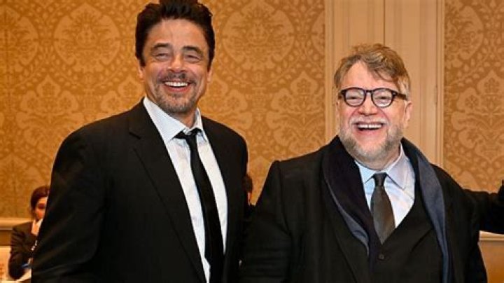 Are Benicio Del Toro And Guillermo Del Toro Related?