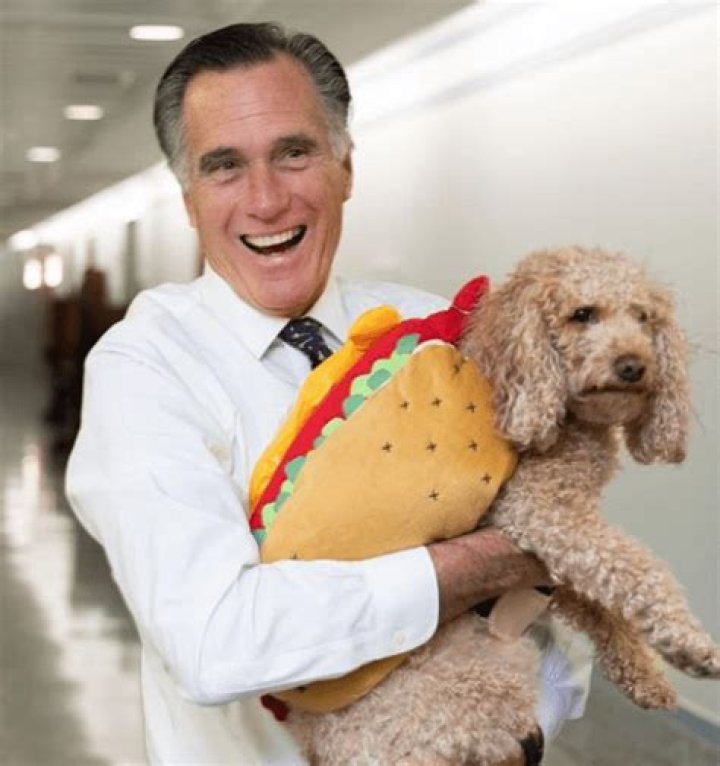 Are Mitt Romney And Ronna McDaniel Related?