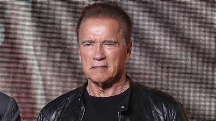 Arnold Schwarzenegger Delivers Impassioned Speech Against Anti-Semitism After Auschwitz Visit ·
