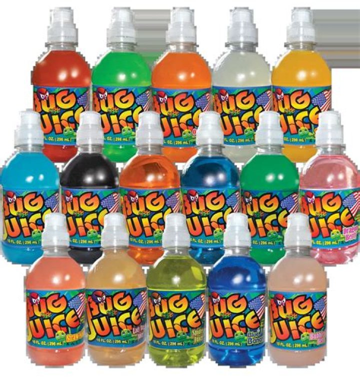 "Bug Juice" Cast: Where Are They Now?