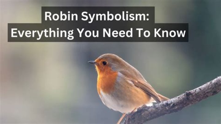 Does a Robin symbolize death? Celebrity.fm #1 Official Stars, Business & People Network, Wik
