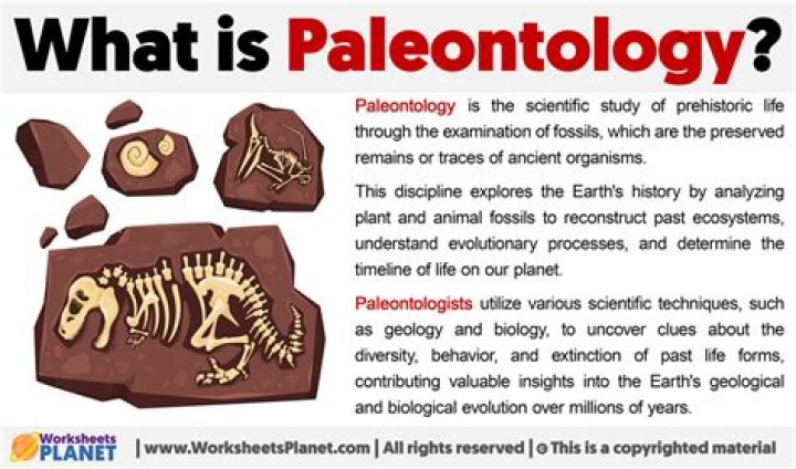 Eric Stromer's Wife And Her Pivotal Role In Paleontology