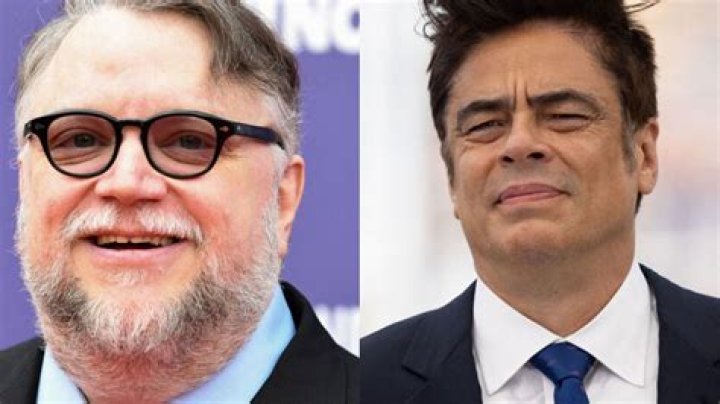 Is Benicio Del Toro Related To Guillermo Del Toro?