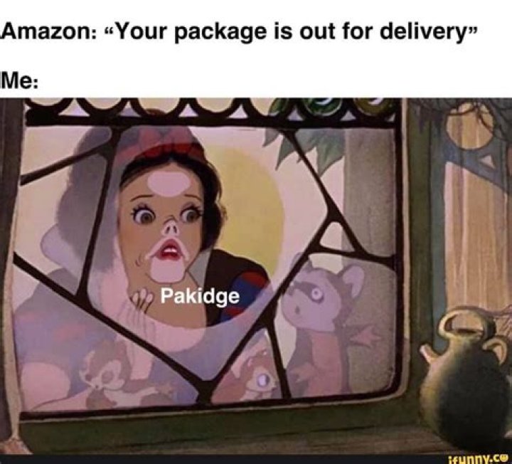 The Ultimate Guide To Humor In Package Delivery
