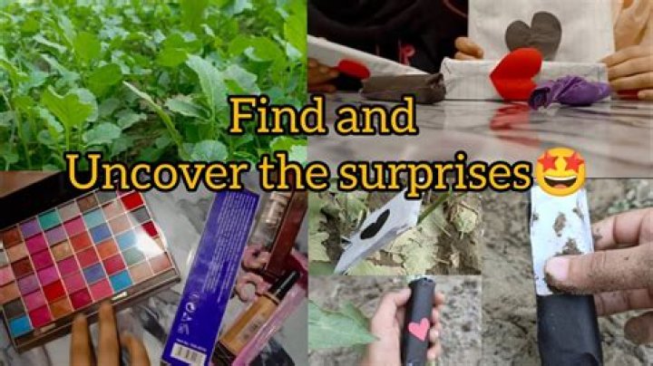 Uncover Hidden Truths And Surprises