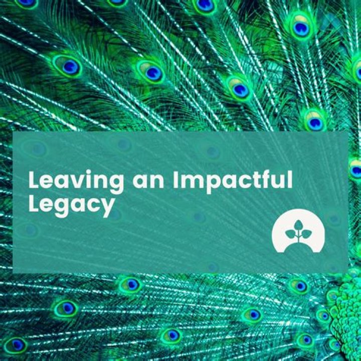 Uncovering Berlinda Tolbert's Impactful Legacy And Ongoing Contributions